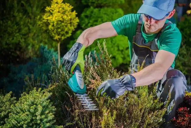 landscaping services Avon